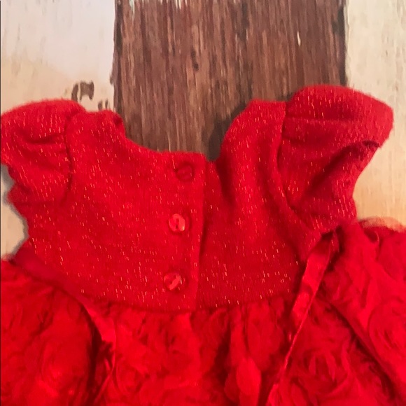 Sweet Heart Rose Red Roses Dress - Picture 4 of 8